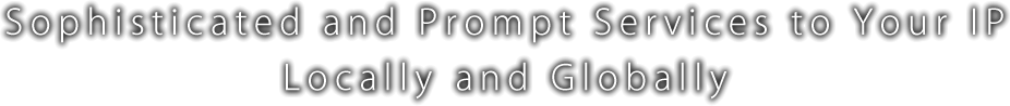 Sophisticated and Prompt Services to Your IP Locally and Globally